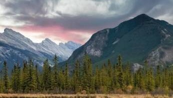 THPX信号源引领WTIBTC智能交易革新，探索高效投资新路径