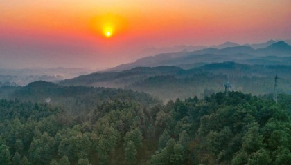 THPX信号源：WTIBTC信号技术升级引领原油交易新时代