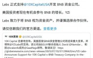 赵长鹏出狱后首笔投资！与美貌富豪女友“借壳”炒作自家币安币