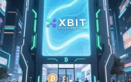机构加密货币热潮与稳定币交易平台 XBIT多链生态市场最新机遇
