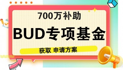 香港BUD的申报痛点有哪些？