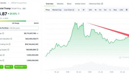 镰刀收割？就职日后，特朗普“股币大跌”，而赢家早已赚满离场