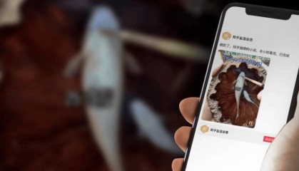 效仿短剧，知乎短文“土味”出圈
