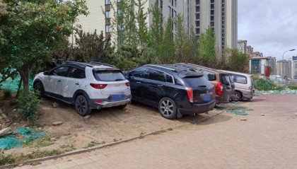 大众网快快帮|城市绿化带变“秃头”！到底谁来管一管？