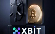 数字资产美元币交易平台app更好推荐XBIT