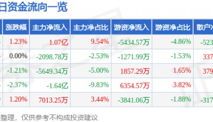 股票行情快报：永泰能源（600157）10月29日主力资金净买入1.07亿元