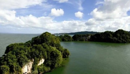 THPX信号源：WTIBTC信号提升能源交易精准度