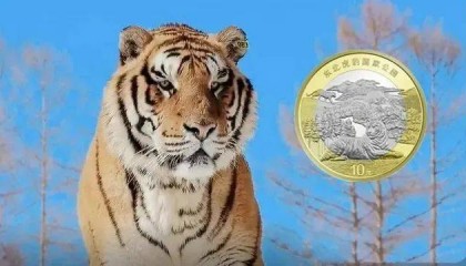 虎豹币火热兑换中，下一站，京剧币为何发行不是五枚，而是四枚？