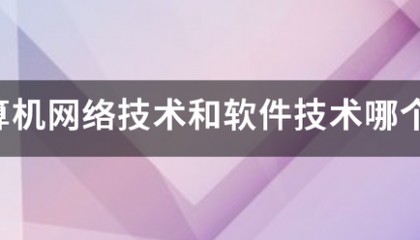计算机网络技术和软件技术哪个好？