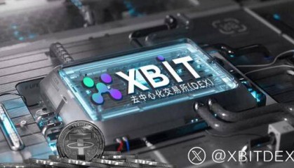 首页/经济论坛1 SUI杠杆交易平台新格局，XBIT数据解析美政策影响币市