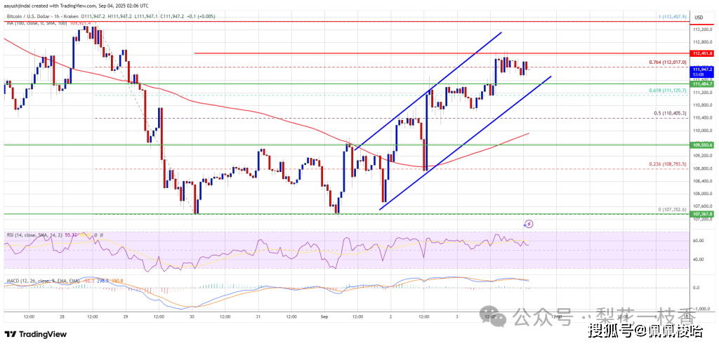 比特币价格正在复苏——但势头却讲述了不同的故事？