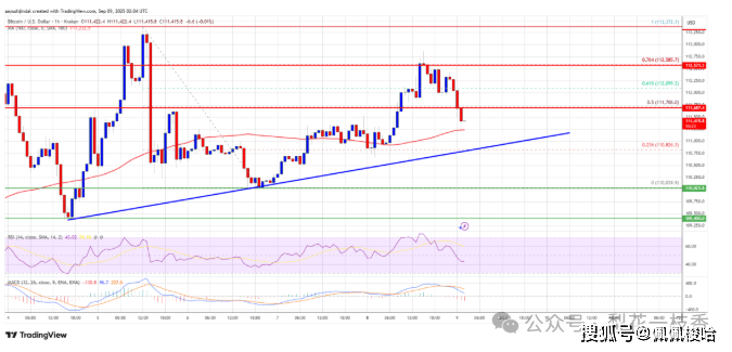 比特币价格在 113,000 美元附近挣扎——多头会强行突破吗?